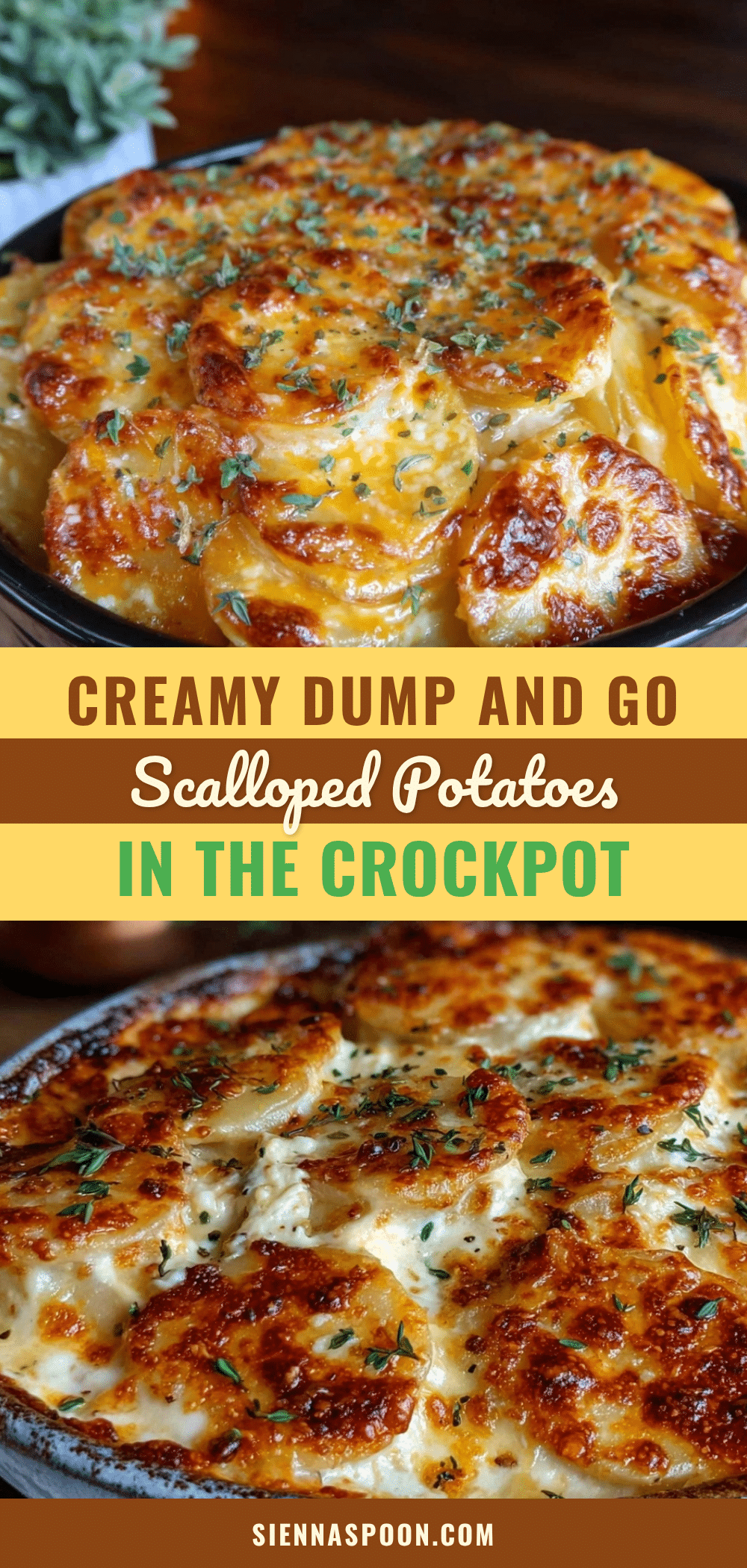 creamy dump-and-go scalloped potatoes recipe