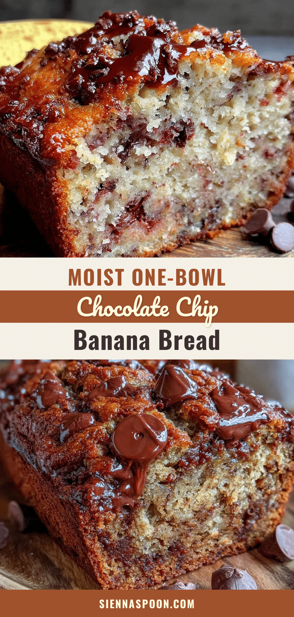 moist one-bowl chocolate chip banana bread recipe