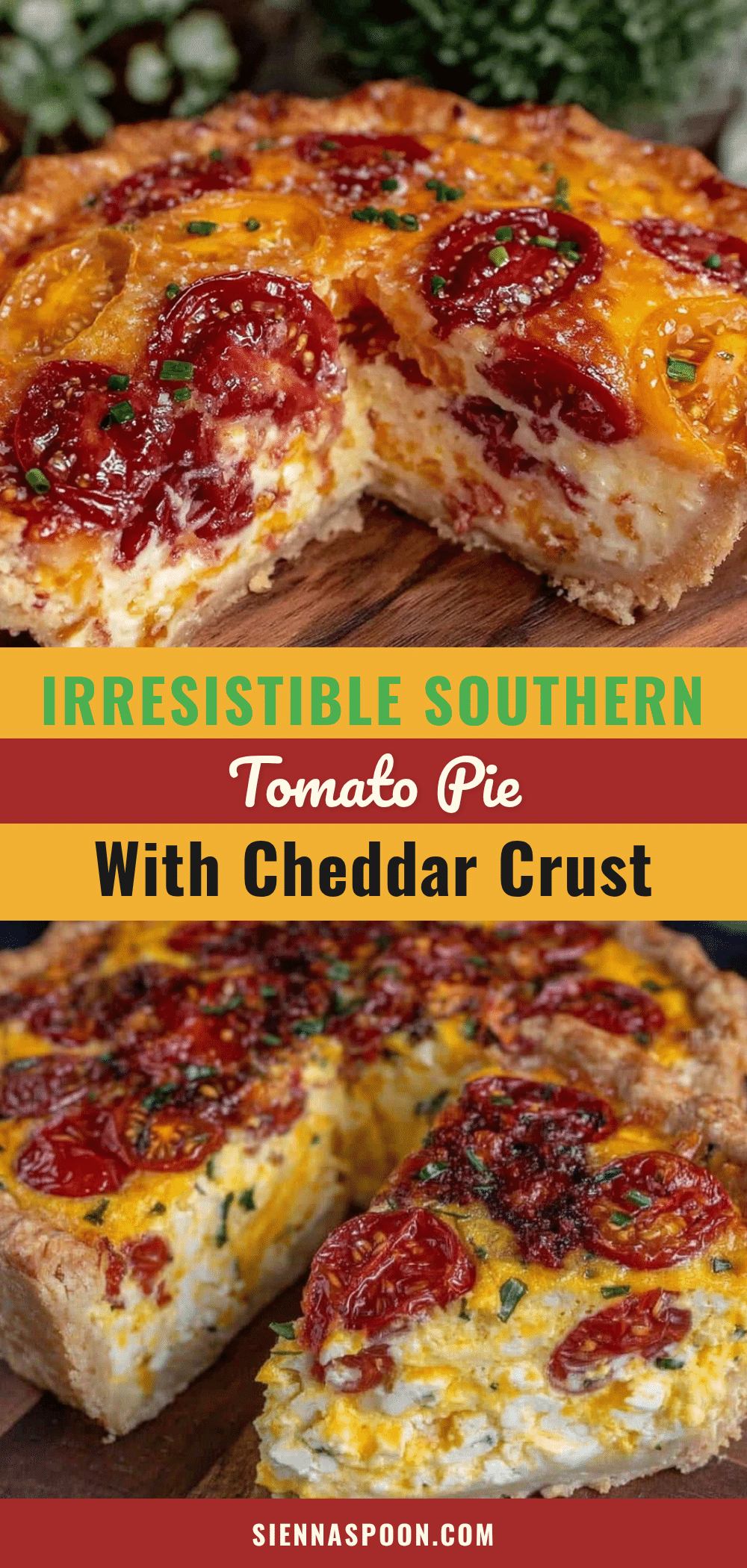 southern tomato pie recipe recipe