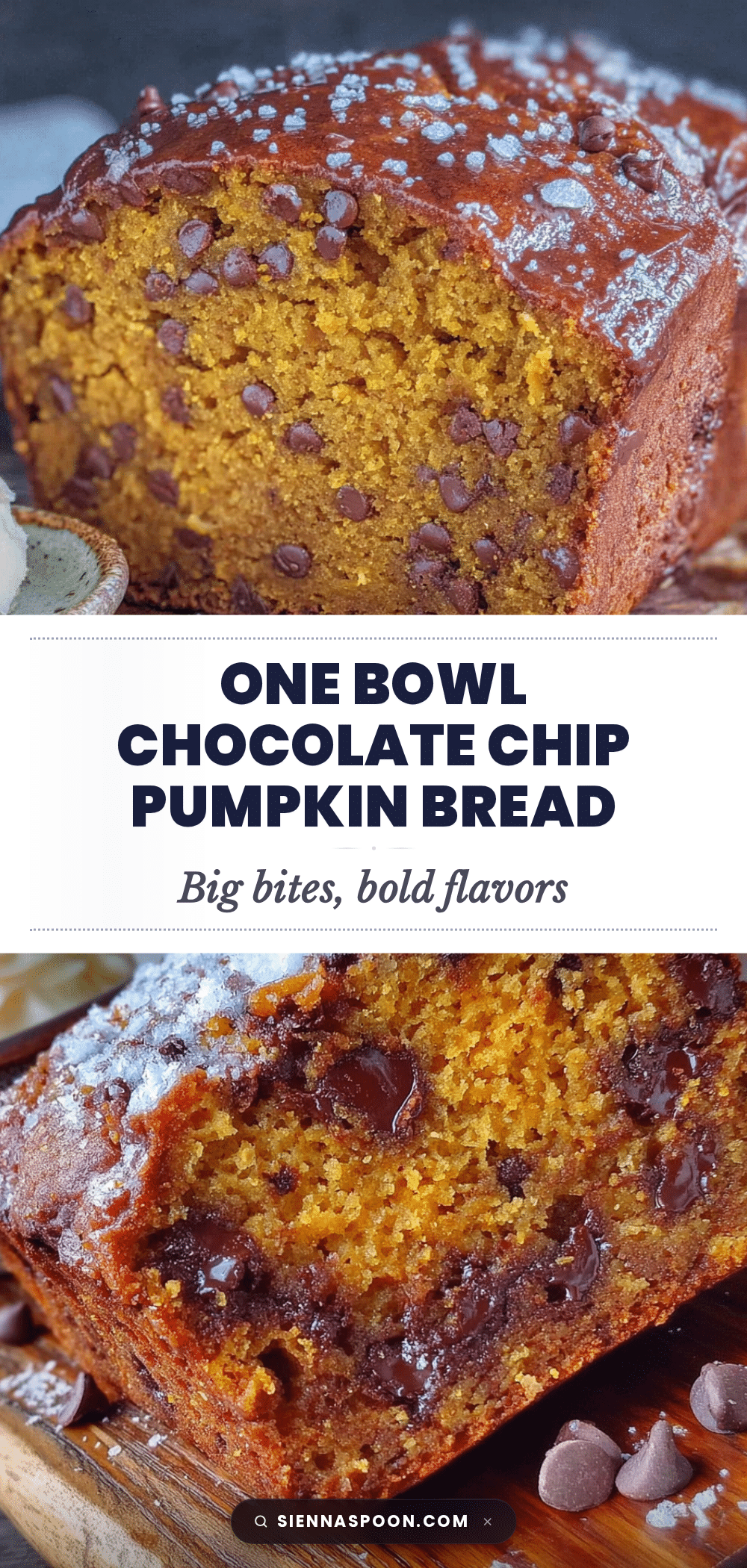 one bowl chocolate chip pumpkin bread recipe