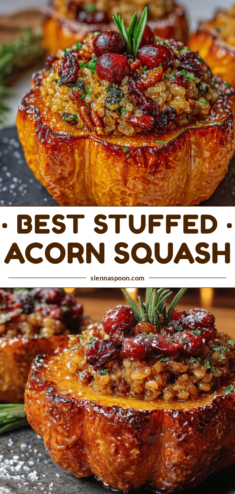 best stuffed acorn squash with wild rice and cranberries recipe