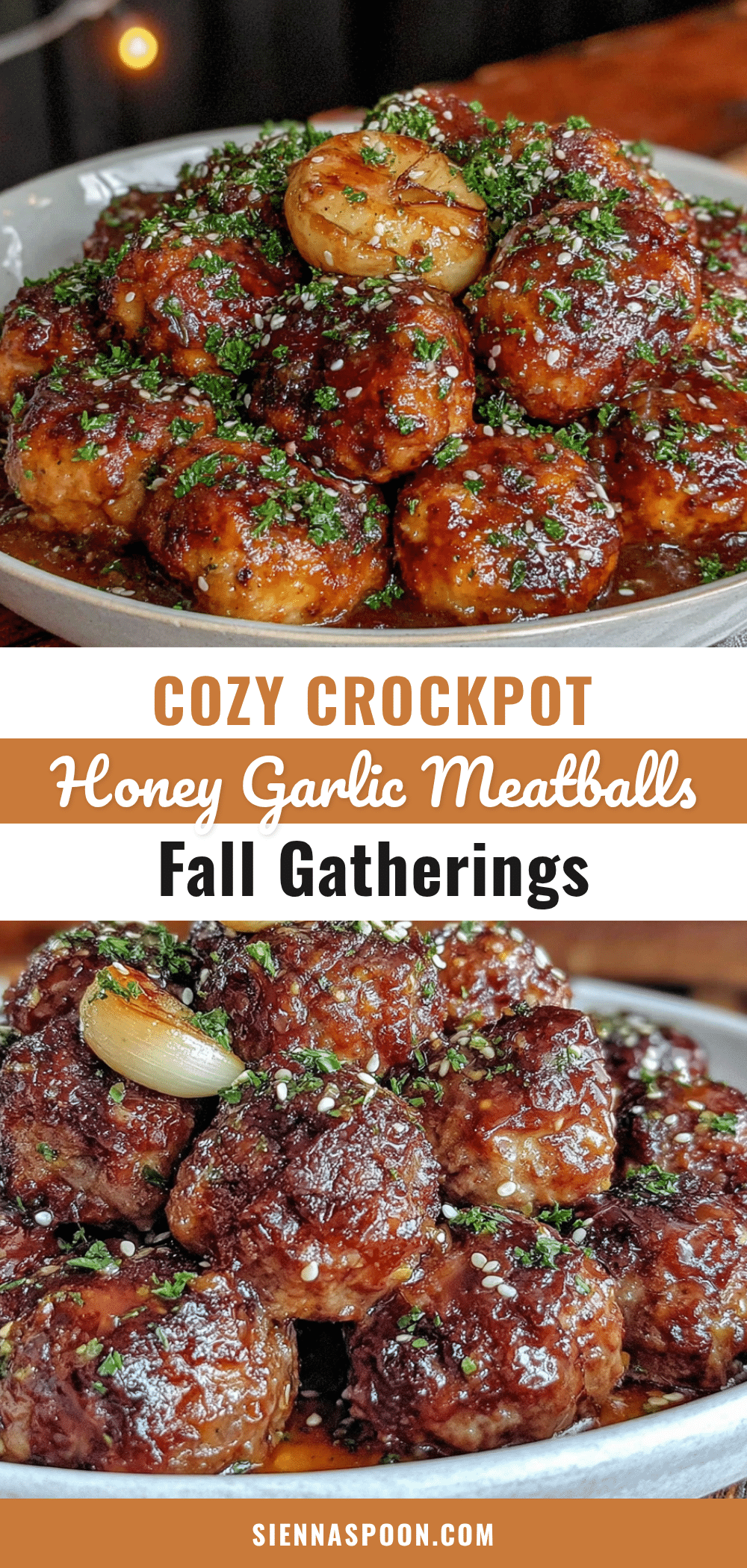 crockpot honey garlic meatballs recipe