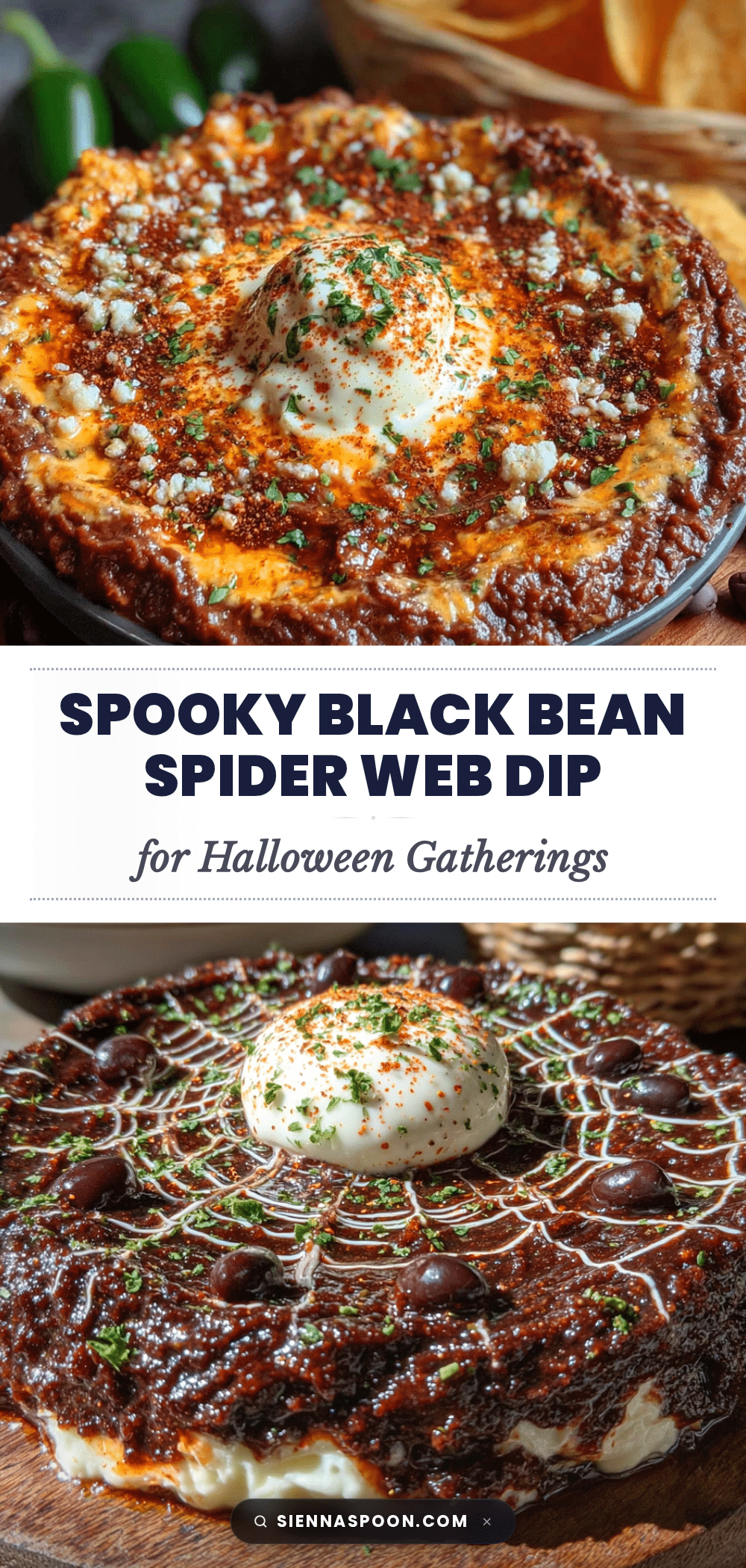 easy black bean spider web dip for halloween recipe