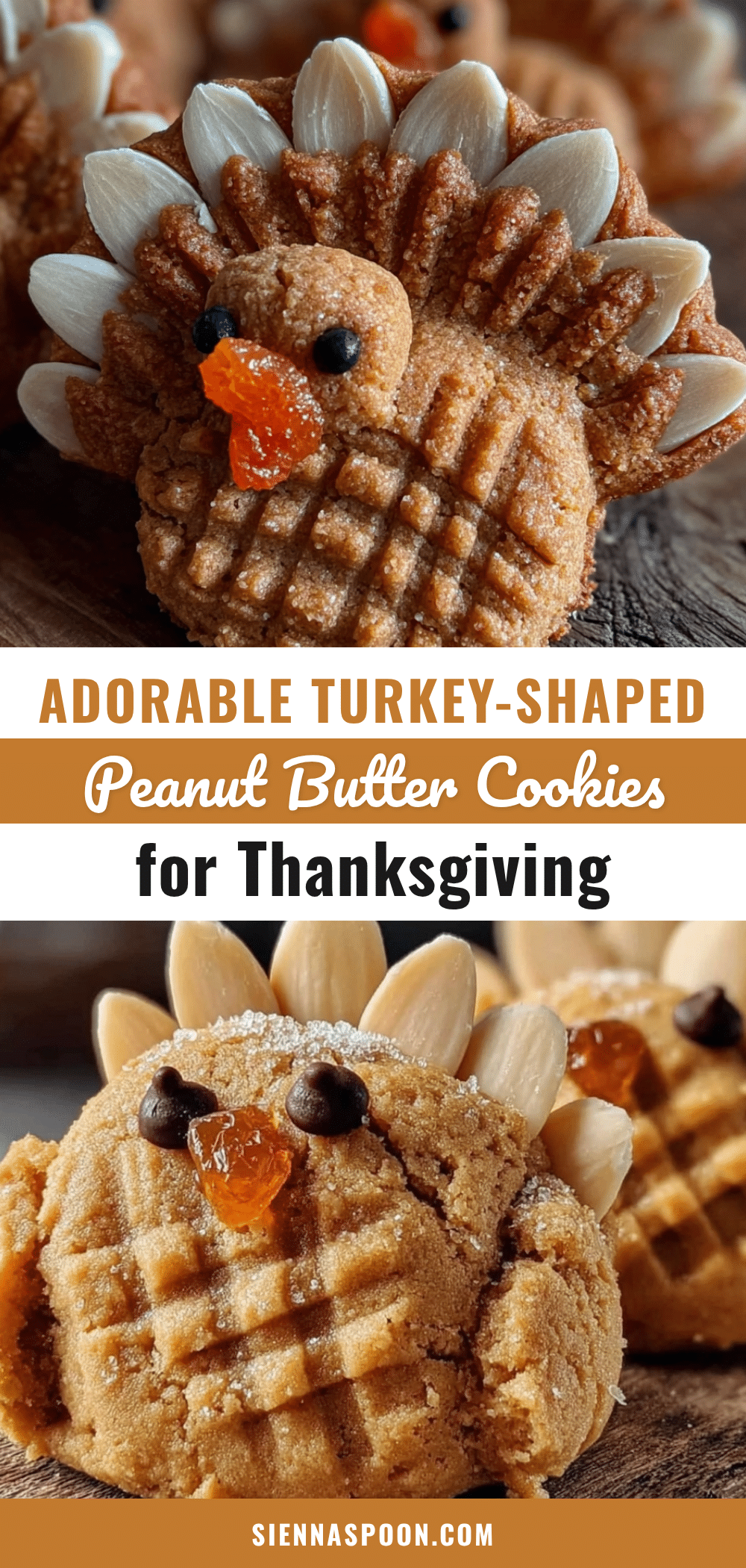 turkey peanut butter cookies recipe